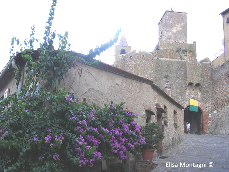 CASTIGLIONE DELLA PESCAIA: PORTA DI PALAZZO CENTURIONI 2' IMMAGINE